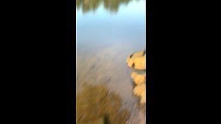 Fishing in Illinois- Kankakee river