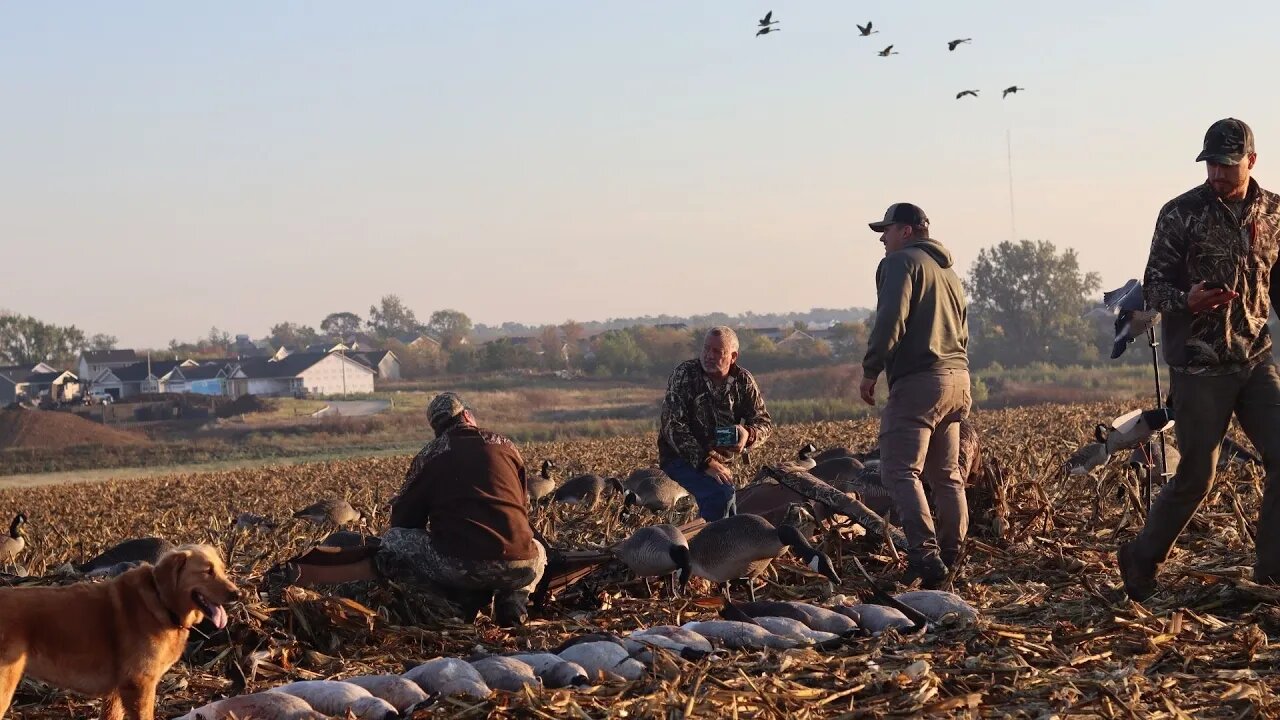 7 Man Central Iowa Goose Limit