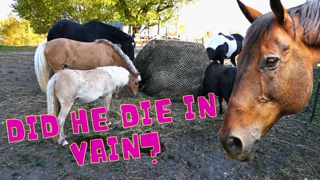 Did He Die In Vain?