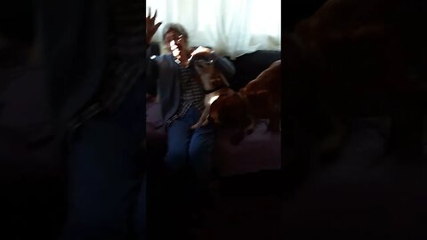 Grandma and Oslo