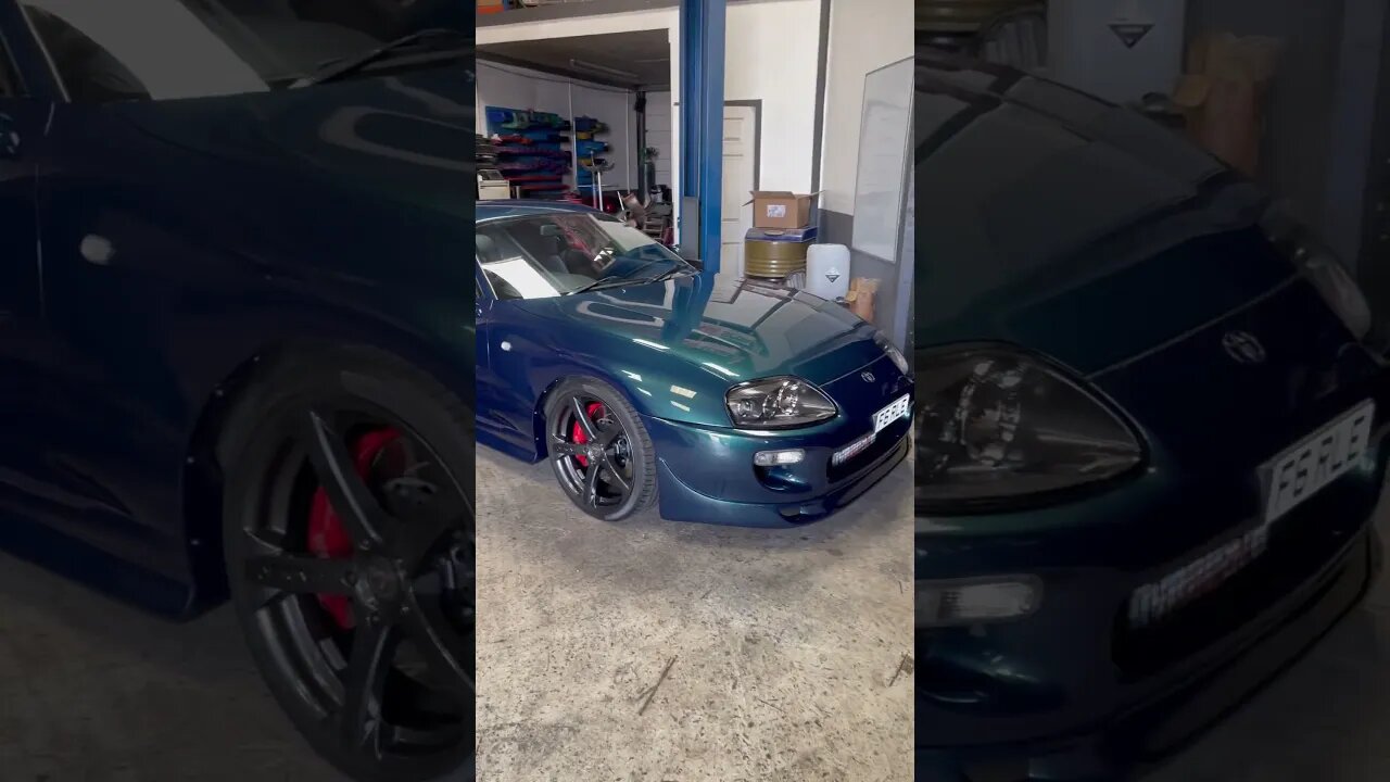 Bad boy Supra