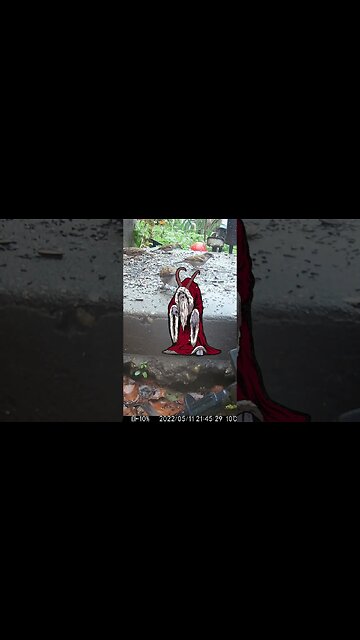 Krampus Visits #Shorts 👹