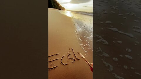 The beach writer #youtubeshorts