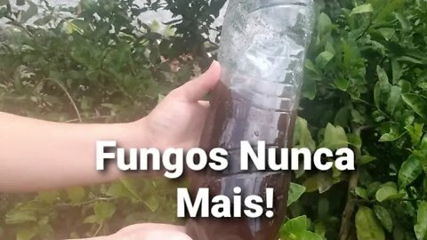 COMO FAZER INSETICIDA PARA PLANTAS SEM GASTAR NADA!!!
