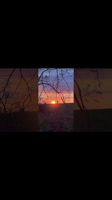 iPhone 13 Pro Telephoto Lens is Gorgeous