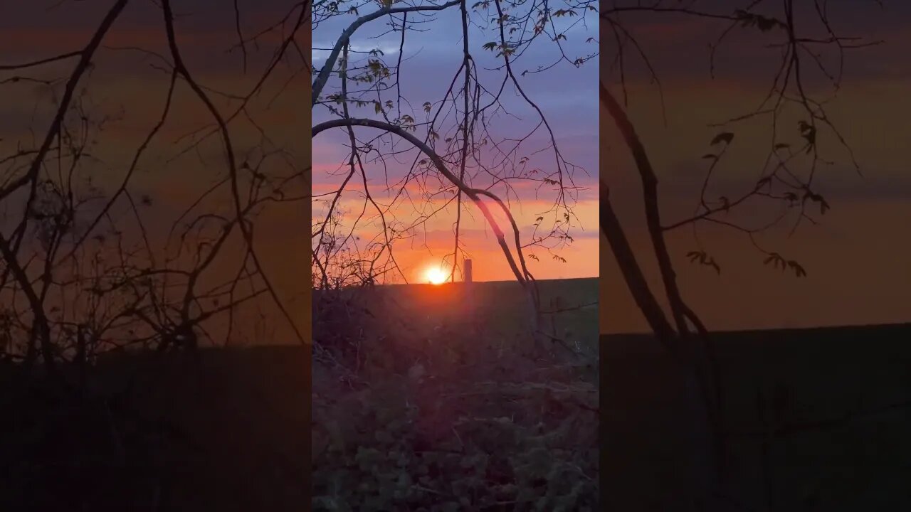 iPhone 13 Pro Telephoto Lens is Gorgeous