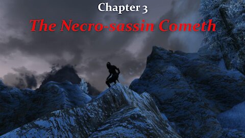 (Skyrim SE) Chapter 3: The Necrosassin Cometh