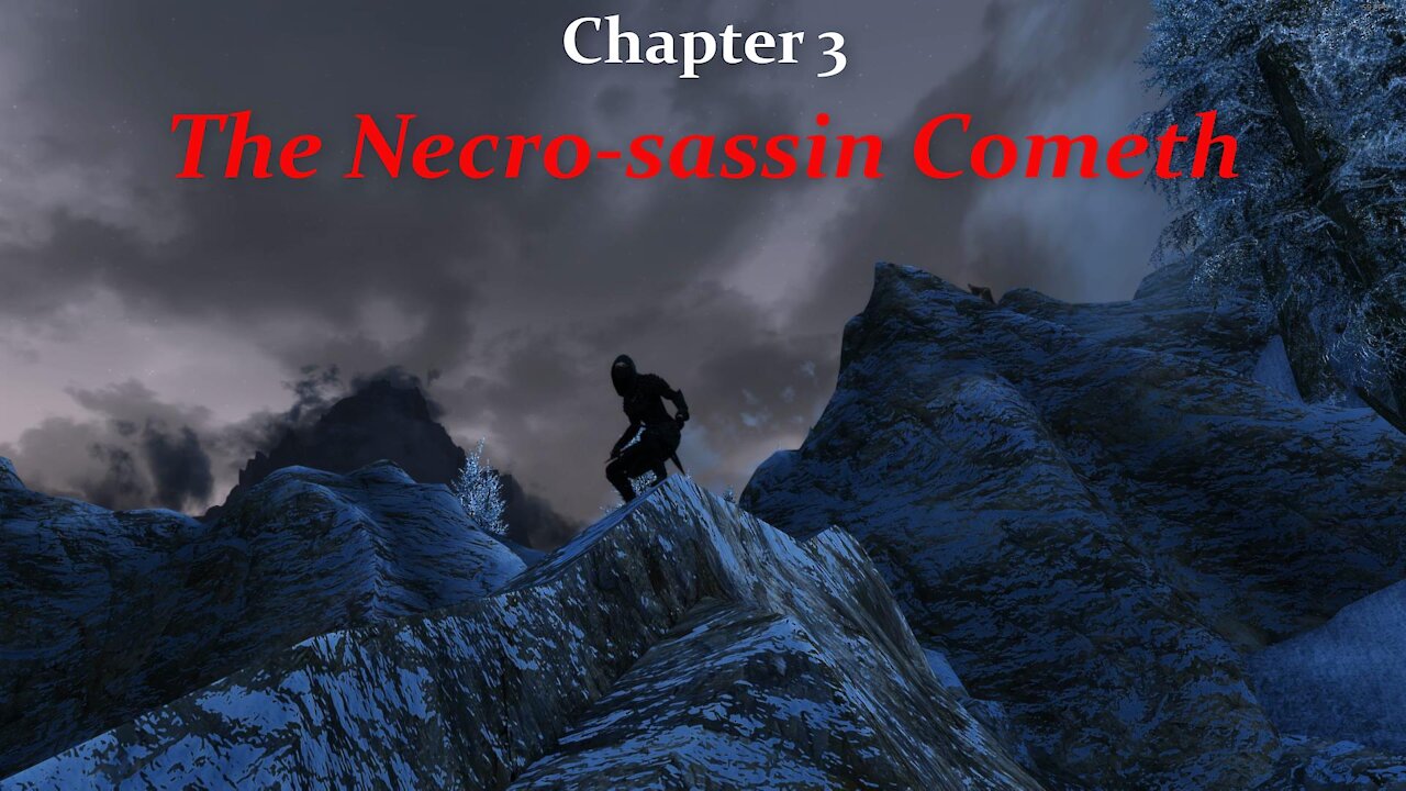 (Skyrim SE) Chapter 3: The Necrosassin Cometh