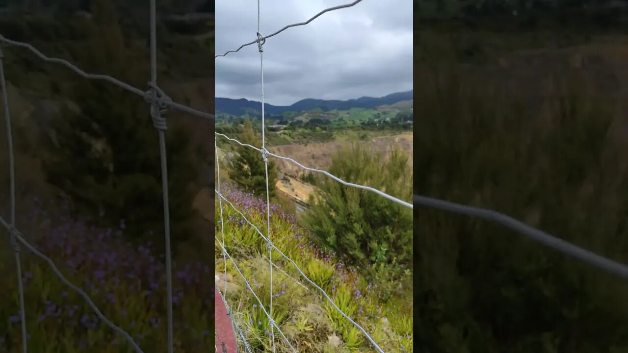 Waihi gold mine, getting away for the weekend.