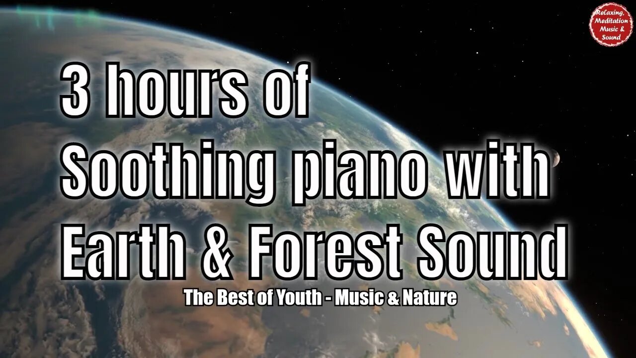 Soothing music with piano and forest sound for 3 hours, music for healing, sleeping & resting