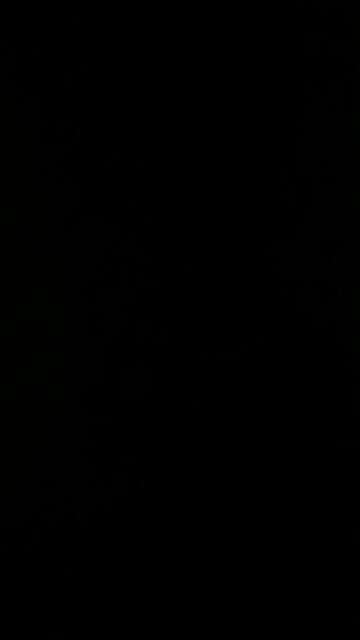 Quattro di Luglio 🇺🇸