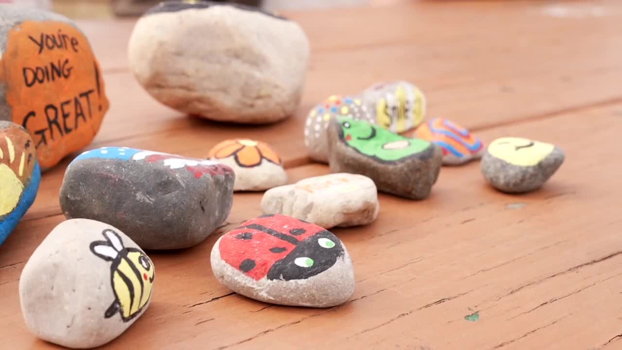 Lansing couple paints, hides kindness rocks across city