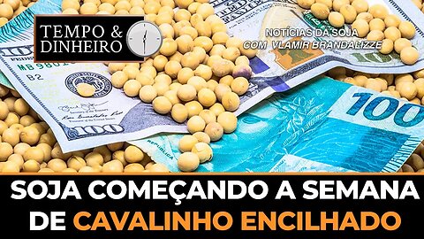 Soja começando a semana de cavalinho encilhado