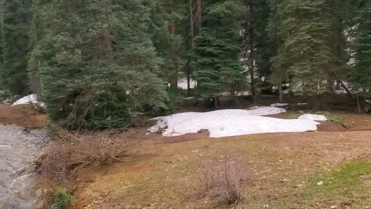 Plateau is opening up