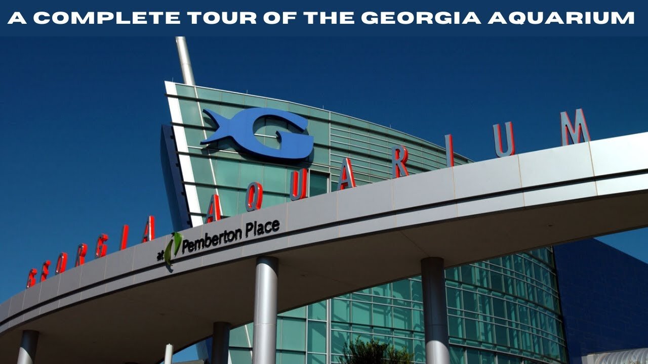 A Complete Tour Of The Georgia Aquarium!