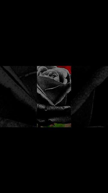 Its Gonna Be Biggie 2023 remake short. Lets Ride #fypシ #beats My dedication to a legend.