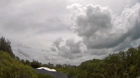 Siesta Key view