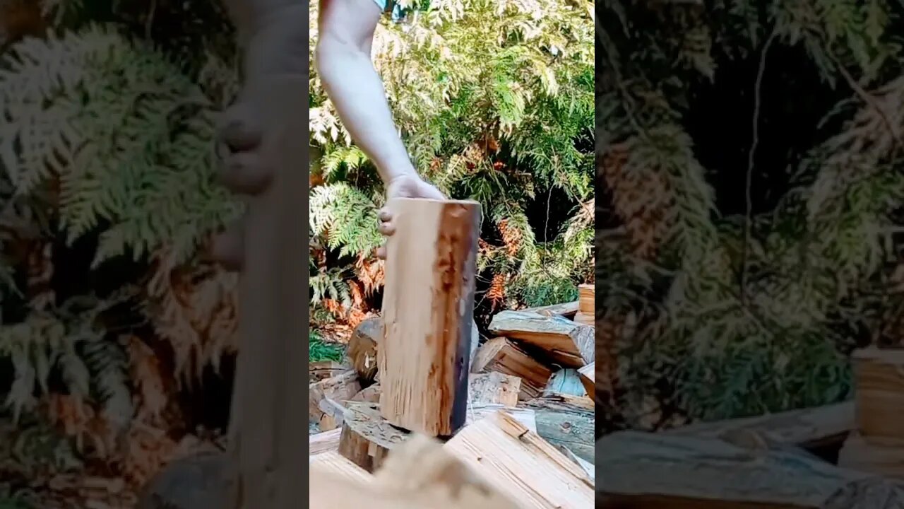 Wood Splitting #shorts #woodsplitter