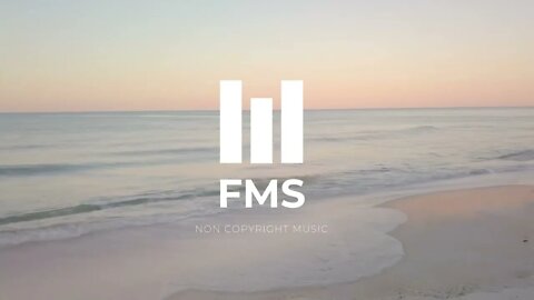 FMS - Free Non Copyright EDM Music #032