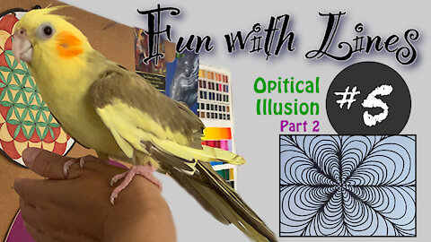 "Fun with Lines" Optical Illusion Pt 2 Lesson #5