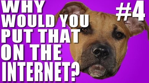 Why Would You Put That on the Internet? #4