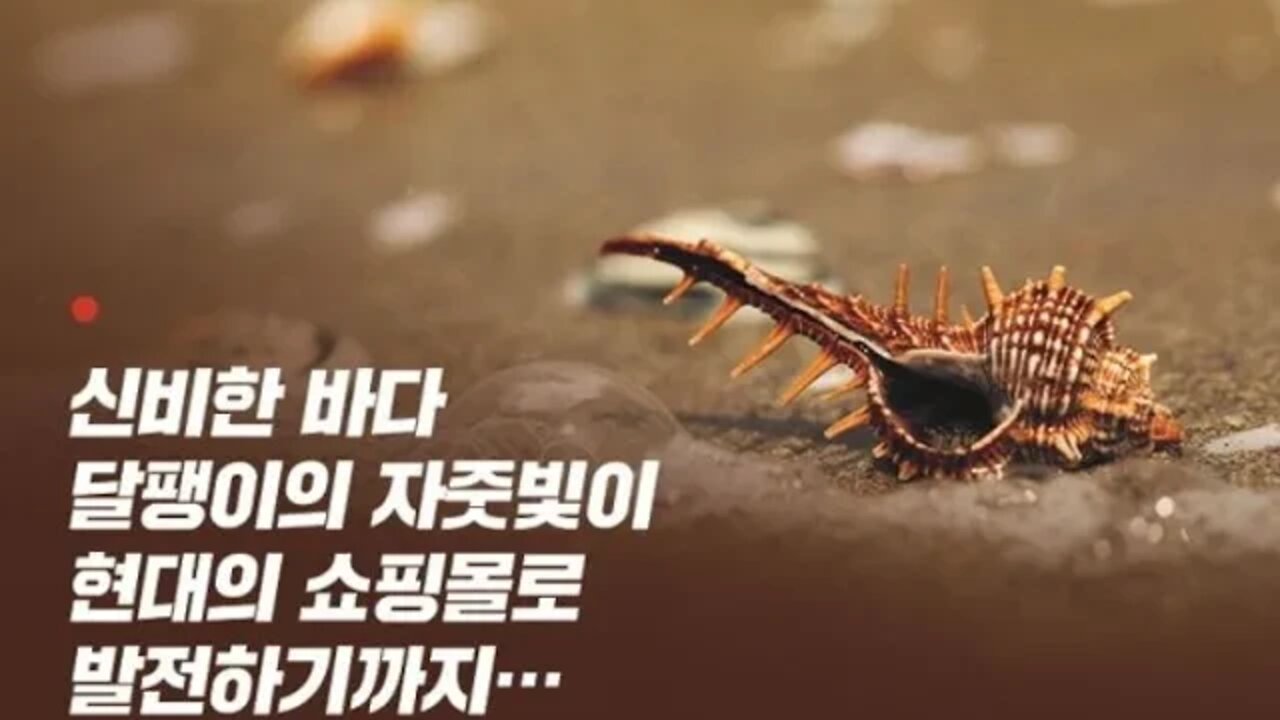 원더랜드 스티븐존슨 음악 뼈로 만든피리 매머드 독일 네안데르탈인 블라우강 육식동물 갈대 동물가죽 박테리아 음악