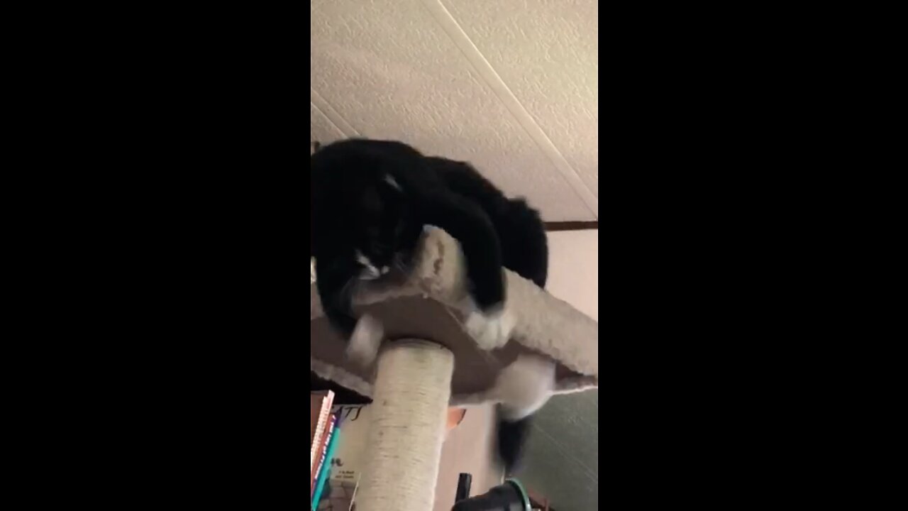 Edward on the car tower