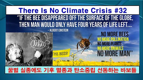 No Climate Crisis #32, Bee Disappear (기후 위기는 없다 #32, 벌이 사라지다)