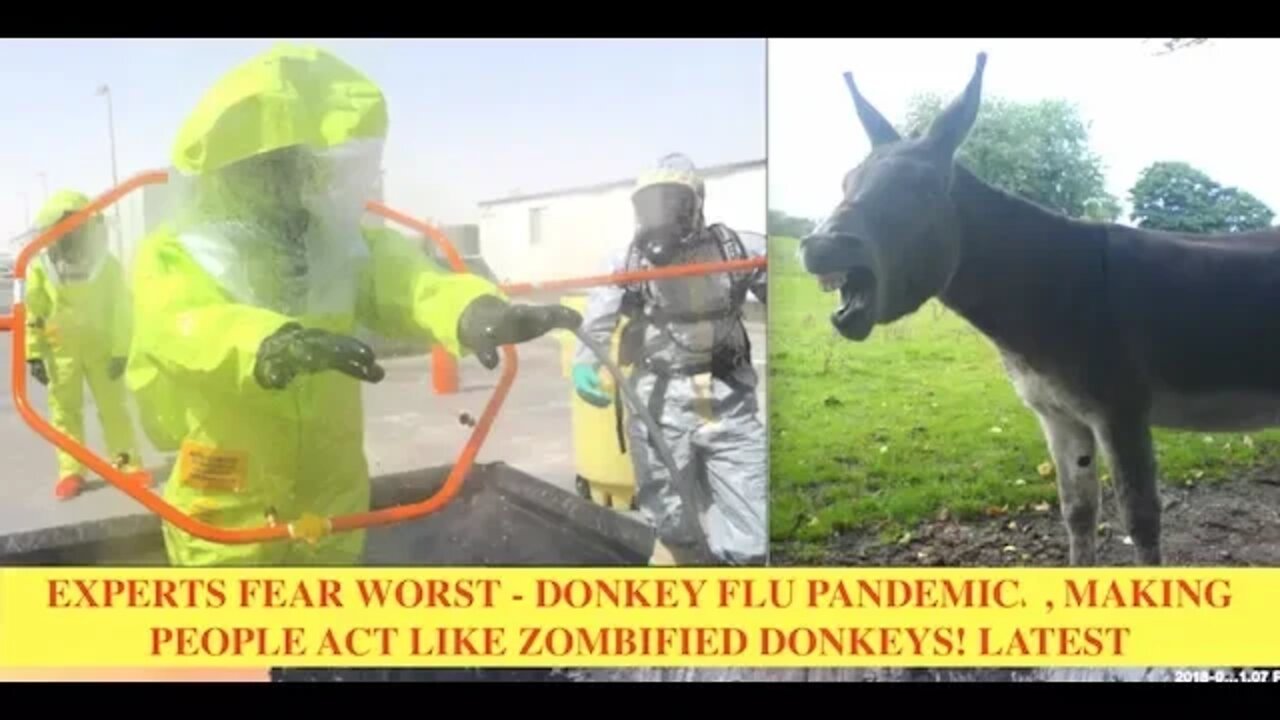 Experts Fear Worst, Donkey Flu - What You Need To Know! Q & A, w/ Organic Supplementation Expert