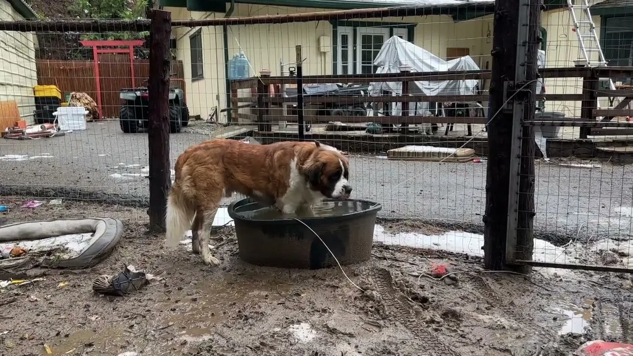 It’s 40 degrees outside with snow and Donnie is in the water.