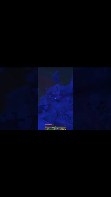 Minecraft Realms 1.19 Lets Play 70