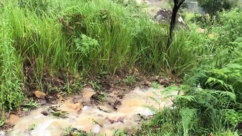 Our spring running during flood. 2 Mar 2022