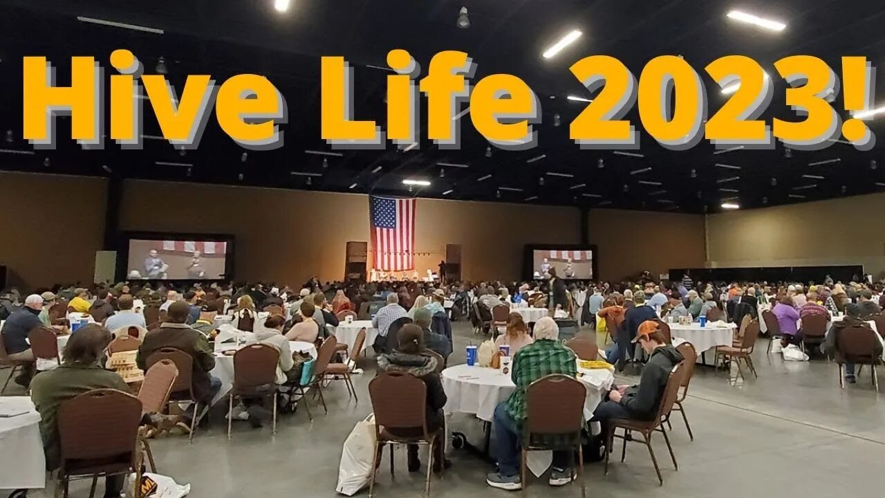 HIVE LIFE 2023 DAY 1 #hivelife