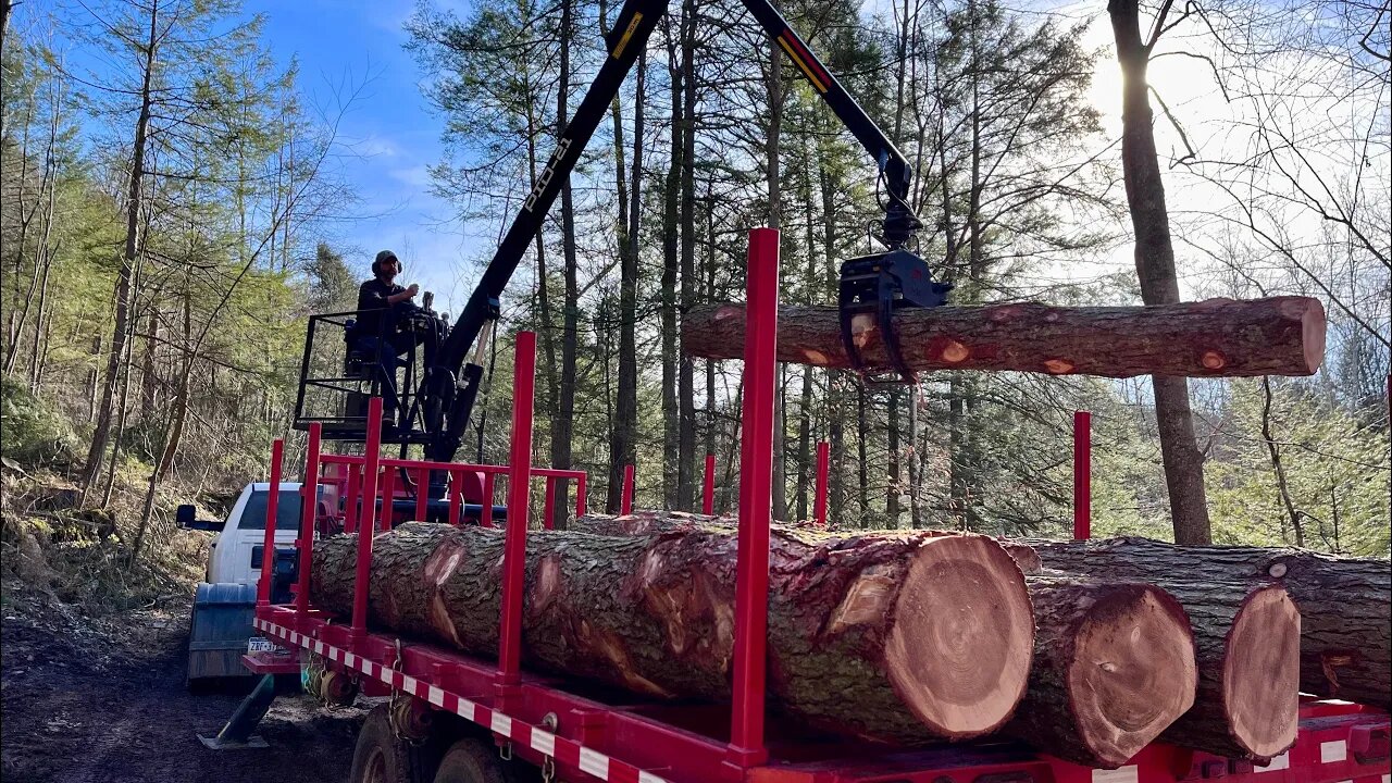 Nerve Wracking Log Haul on Narrow Dirt Road!