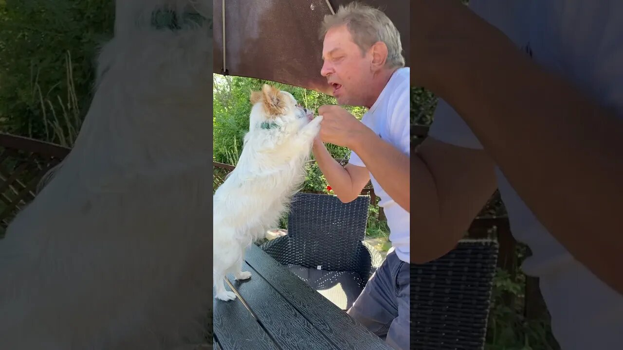 Hedgehogs can’t dance 😘