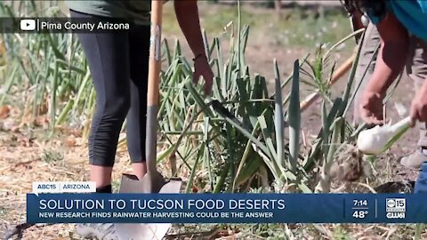 New research finds rainwater harvesting could be solution to Tucson food deserts