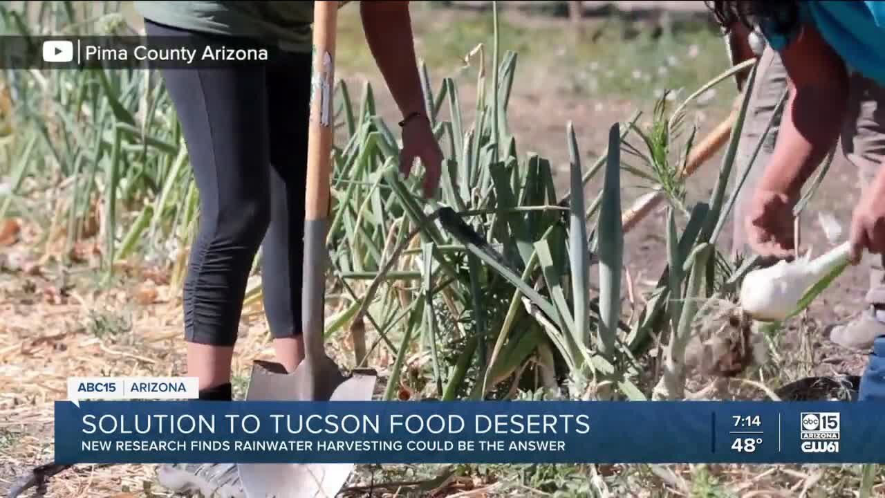 New research finds rainwater harvesting could be solution to Tucson food deserts