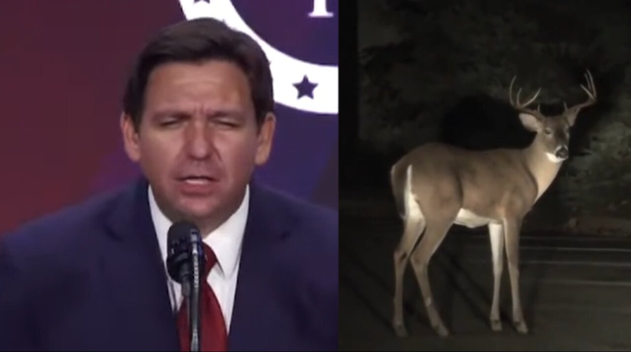 Like A Deer In Headlights | Ron Desantis Roasts Biden