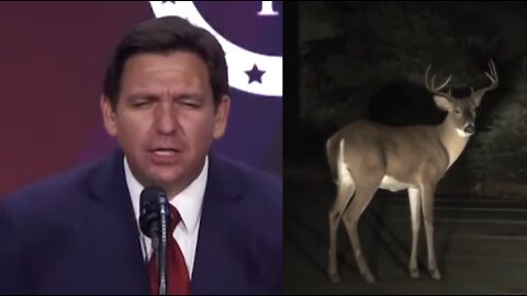 Like A Deer In Headlights | Ron Desantis Roasts Biden