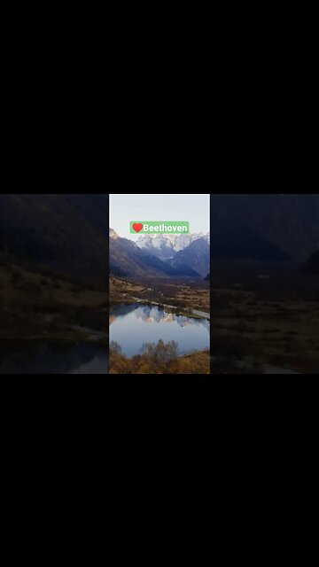 Coriolan Ouverture #shorts #rushe #beethoven