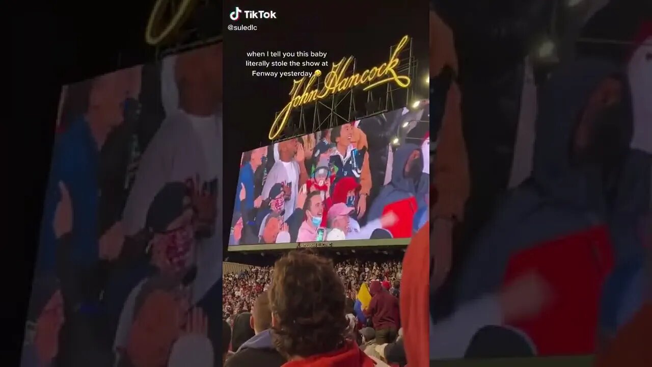 Baby Steals The Show At Baseball Game tiktok suledlc