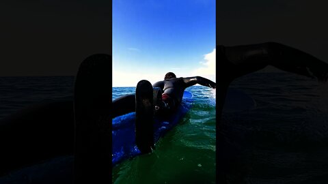 Paddling while on a Surfboard # Shorts