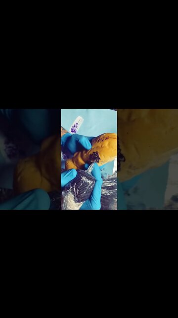 Can We Tattoo Bread??