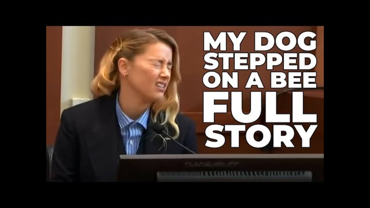 My Dog Stepped On A Bee - Amber Heard Full Video Story