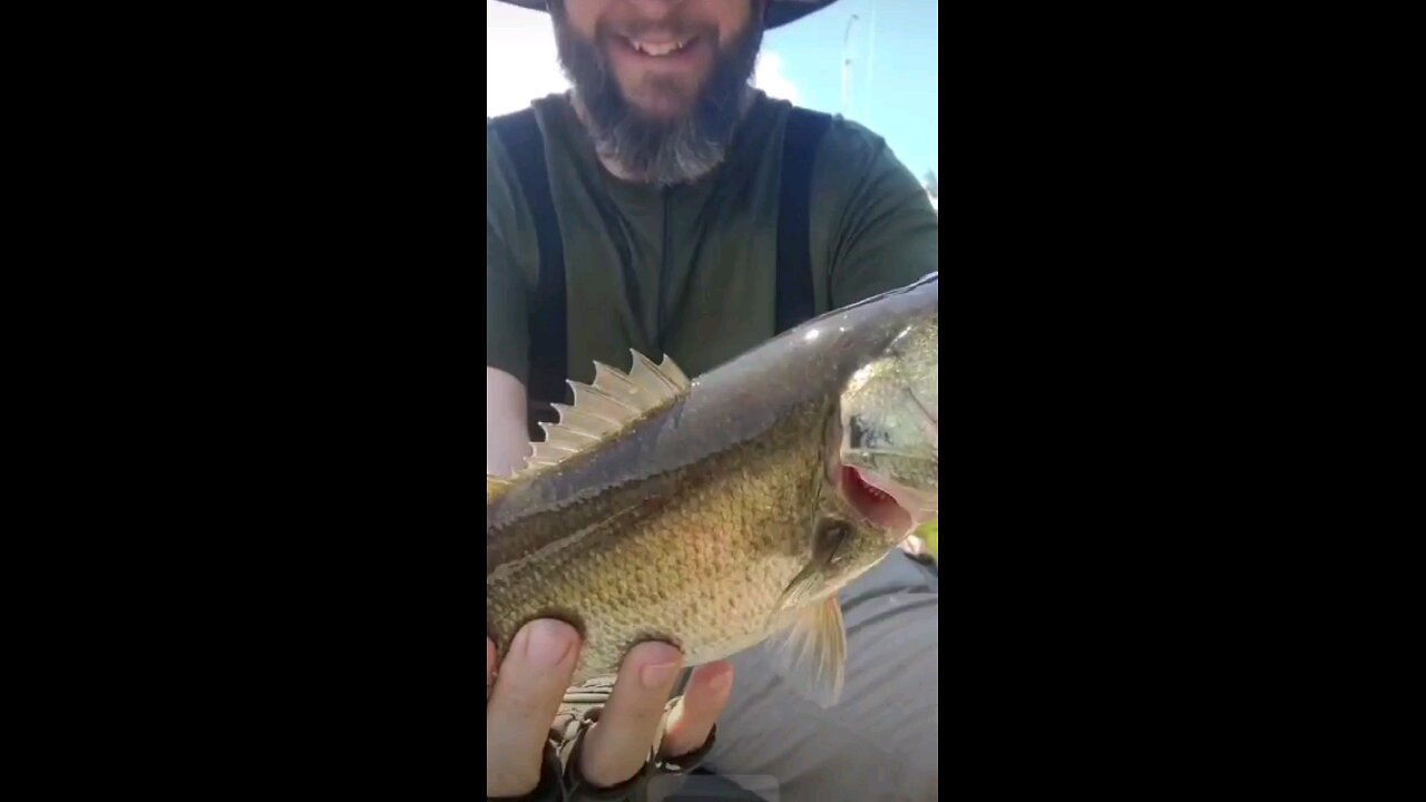 Kayak bass'n