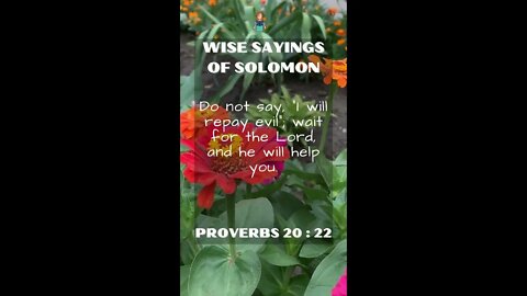 Proverbs 20.22 | NRSV Bible - Wise Sayings of Solomon