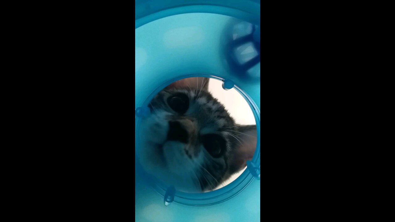 Hey my name is Akiko How are you 🥰🌟