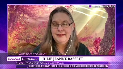 What Does Fido Want? - December 14, 2021