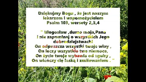 Dziękujmy Bogu,że jest naszym lekarzem i wspomożycielem Psalm 103, wersety 2,3,4