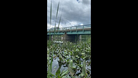 Pittsfield dam